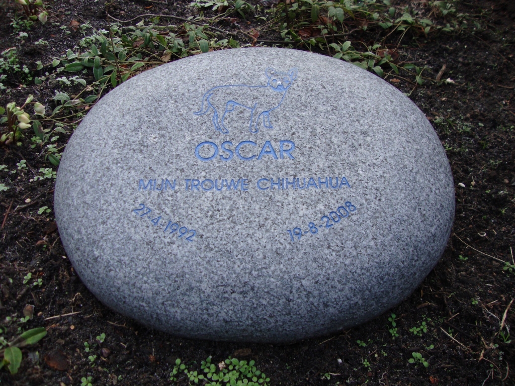 Grafsteentje Oscar op de buitenplaats In de Wereldt is veel Gevaer